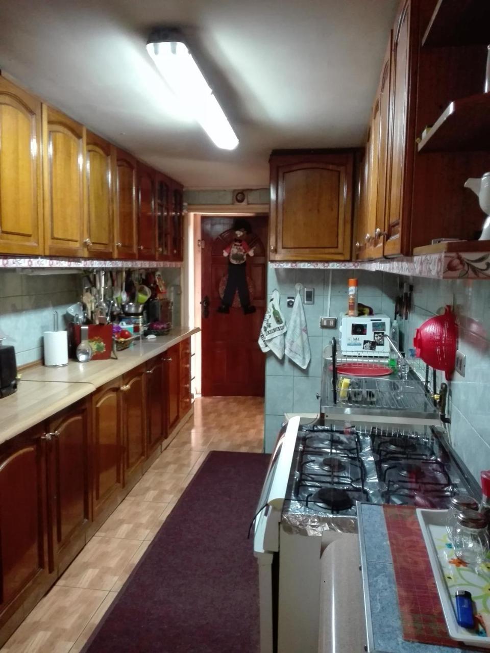 Lotus Shared-House Apartment Puerto Montt Ngoại thất bức ảnh